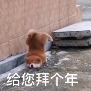 阿宾慧玉阿吉孟奔眼镜仔
